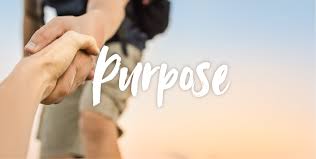 Our Purpose